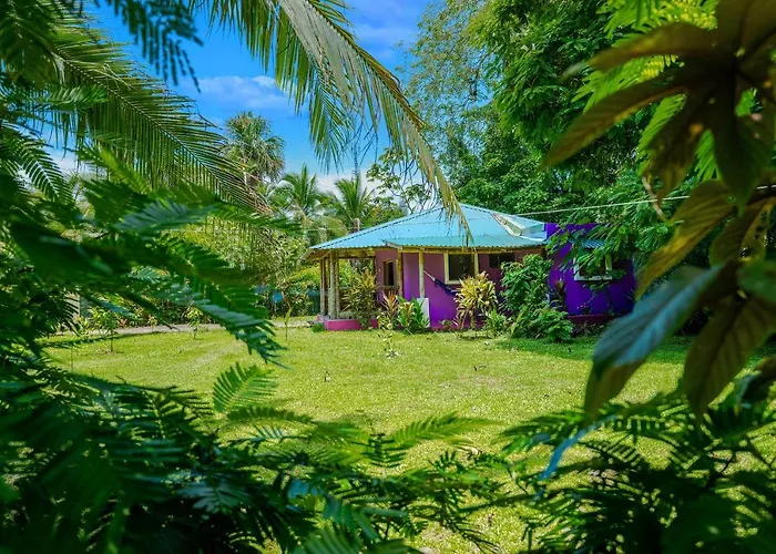 Casa Lavanda In Tropical Jungle Garden