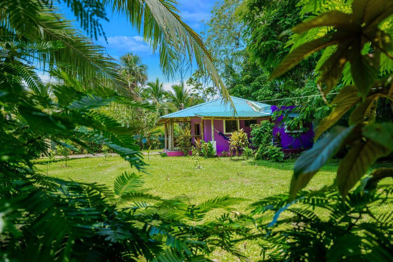 Сasa de vacaciones Casa Lavanda In Tropical Jungle Garden *