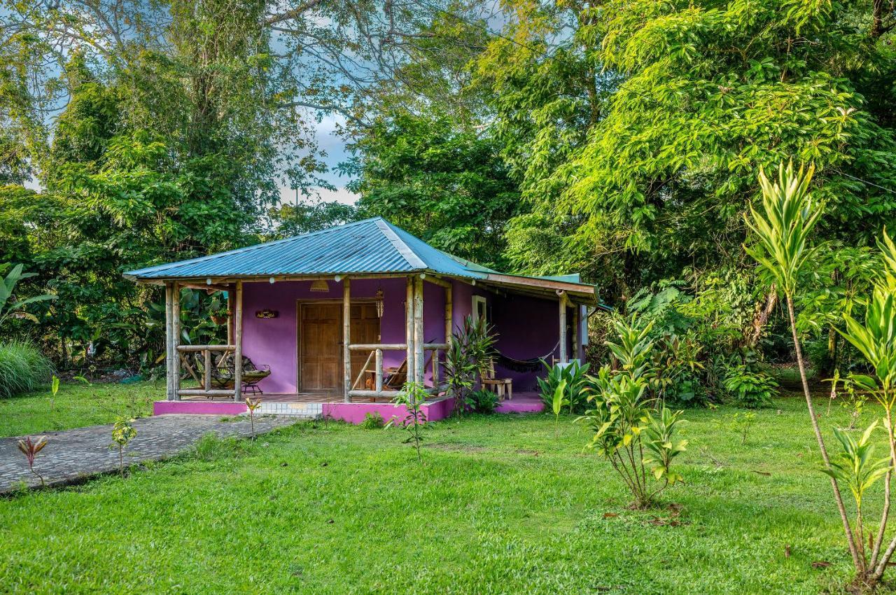 Сasa de vacaciones Casa Lavanda In Tropical Jungle Garden