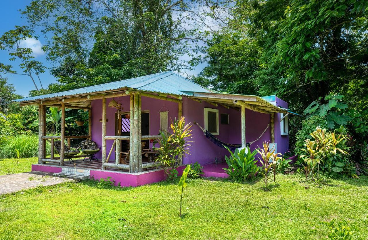 Casa Lavanda In Tropical Jungle Garden Сasa de vacaciones