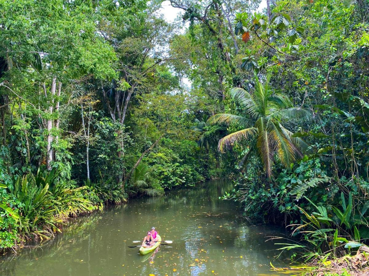 Сasa de vacaciones Casa Lavanda In Tropical Jungle Garden