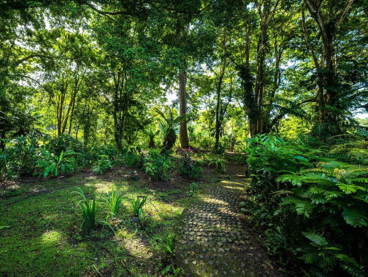 Casa Lavanda In Tropical Jungle Garden * Manzanillo (Limon)